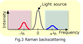 Fig.3 Raman backscattering