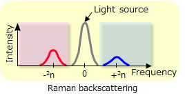 Raman backscattering