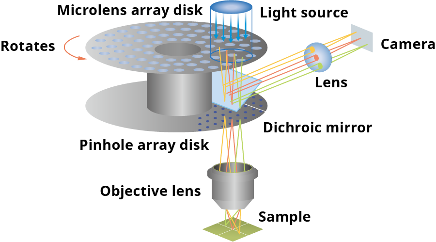 Dual spinning disk confocal system