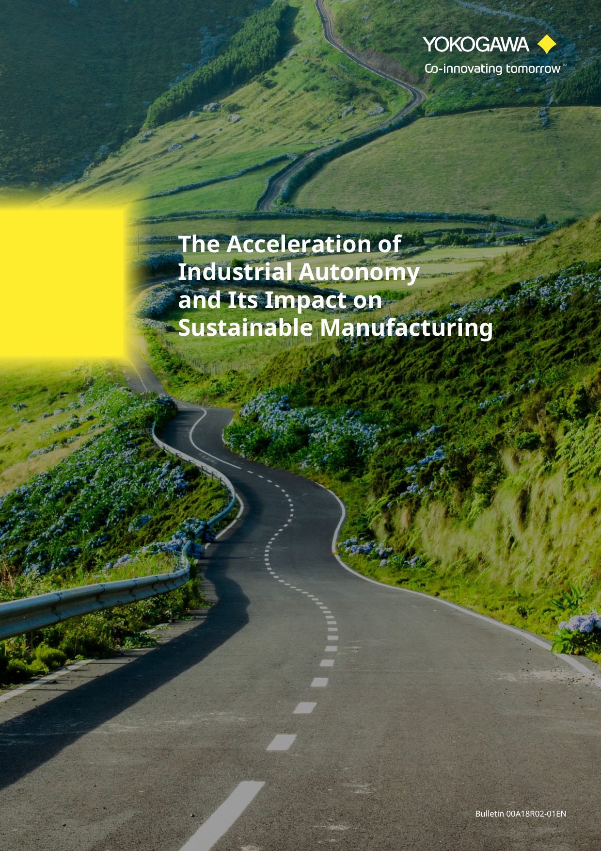 2021 survey ebook cover