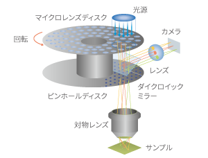 Dual spinning disk confocal system