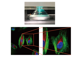 water immersion lens