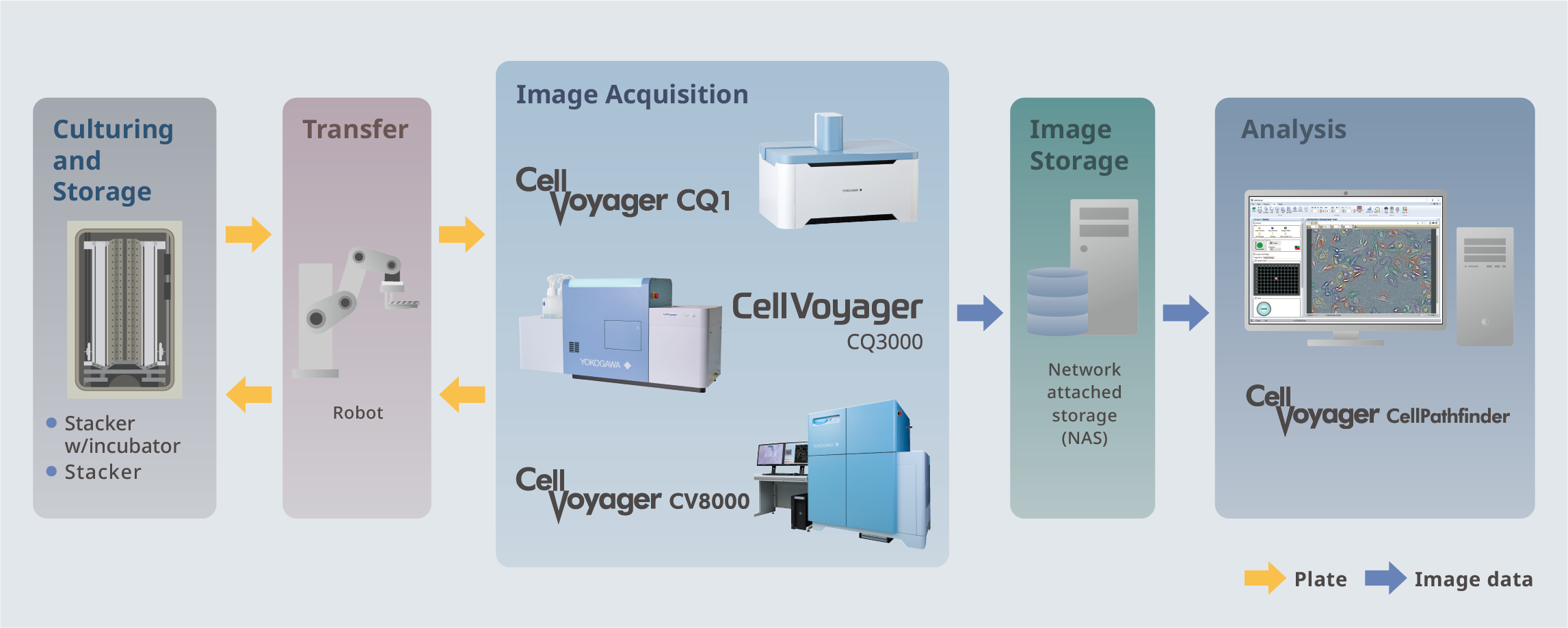 Benefit of Automated HCA