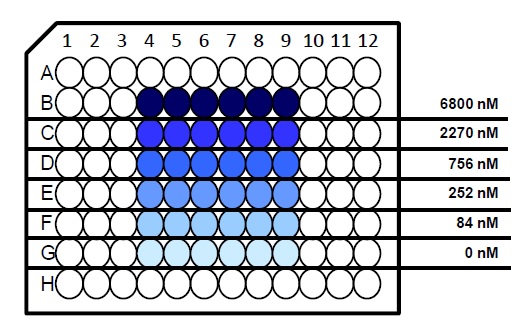 Etoposide concentration