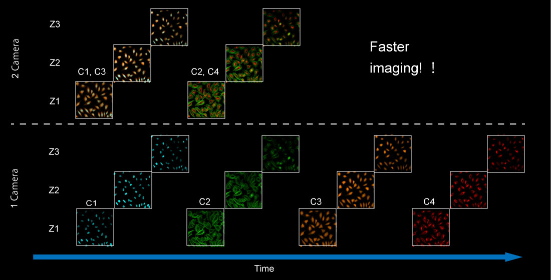 High throughput imaging via sample operation