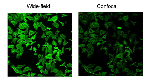 使用第二相機選項時的通量比較