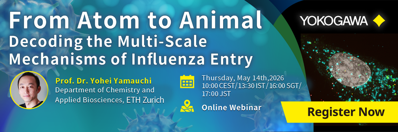 From Atom to Animal: Decoding the Multi-Scale Mechanisms of Influenza Entry