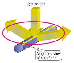 Figure-2-Measuring-Principle-of-Fiber-Orientation-Sensor