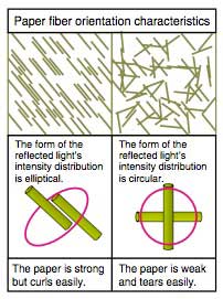 Figure-3-Characteristics-Visualized-Using-Fiber