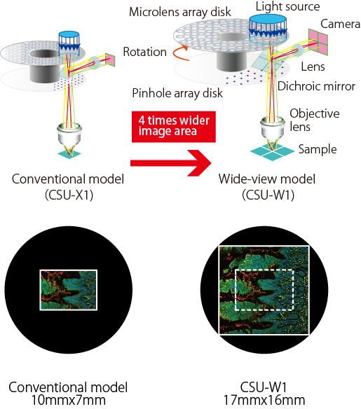 Widest FOV confocal