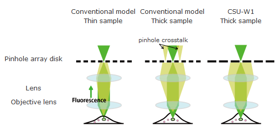 Thin sample:Conventional,Thick sample:Conventional,Thick sample:CSU-W1