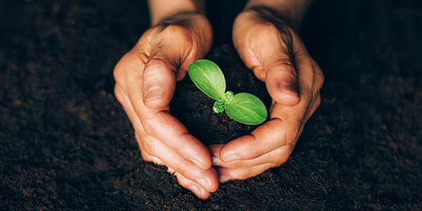 Waste to Energy and Biomass