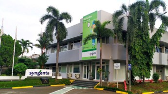 syngenta