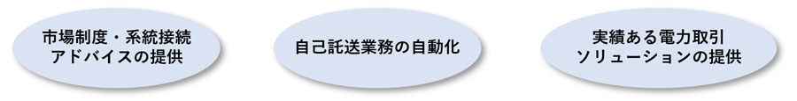 自己託送における課題