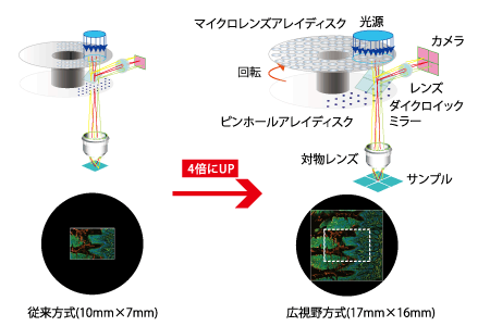 広視野マイクロレンズ付ニポウディスク