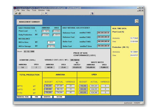 Management Summary Report