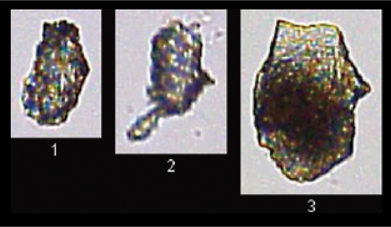 Electronic Devices (Metal)