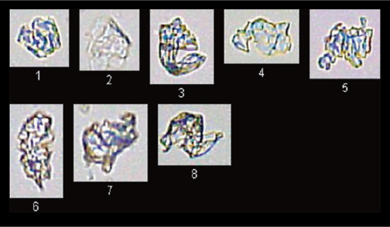 Electronic Devices (Plastic)