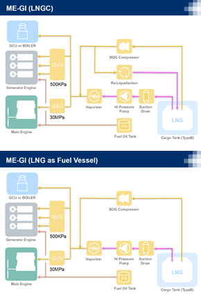 Image of ME-GI Function