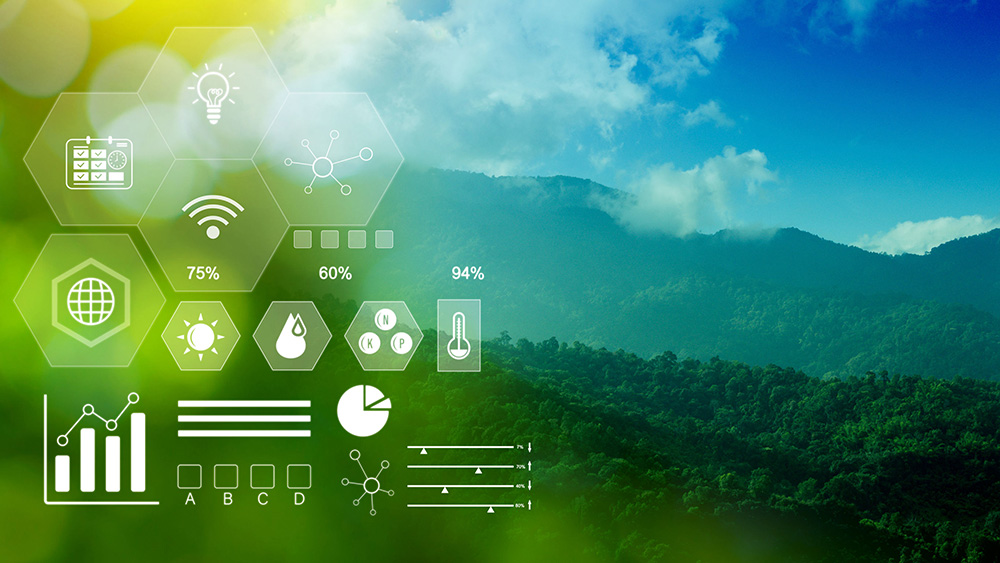 Carbon Footprint Visualization and Management
