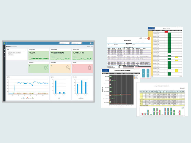 Automated data visualization and reporting