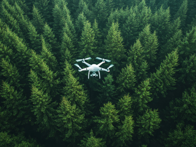 Efficient forest monitoring