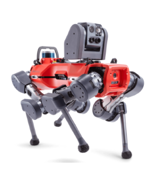 RMC-anymal-d-legged-robot-walking