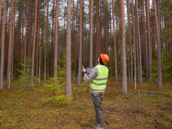 大範圍監測困難